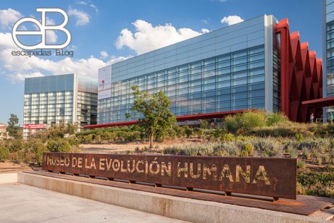 Museo de la Evolución Humana